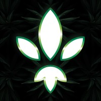 Lilium Xtract logo - Similar company to Magu-Cbd