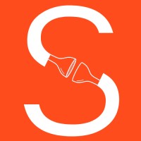 Synapse BTP logo - Similar company to Camshop France