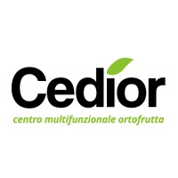 CEDIOR logo - Similar company to Pef Srl