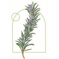 Jacka Foundation for Natural Therapies logo - Similar company to Fusion Integrative & Functional Medicine