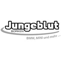 Jungeblut GmbH & Co. KG logo - Similar company to Bmw Engelmeier Gmbh & Co. Kg