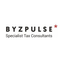 Byzpulse Ltd logo - Similar company to Pm Accountant Ltd