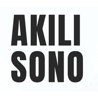 Akili Sono logo - Similar company to Akili Sono