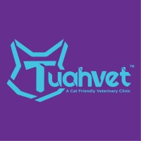 Tuahvet logo - Similar company to Kerja Kosong Perak
