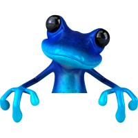 Blue Frog Software