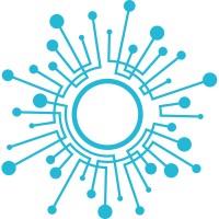 Softel Systems logo - Similar company to Pacton Technologies