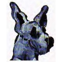 Dog & Pony Studios logo - Similar company to Linistry