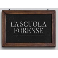 Scuola Forense Torino logo - Similar company to Frus E Associati