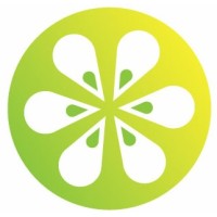 Four Lemon logo - Similar company to Banda Tech Solutions, Llc