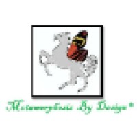 VITAL CONCEPTS &  DESIGNS LLP logo - Similar company to Ovistech Systems