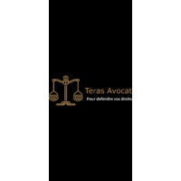 Teras Avocat logo - Similar company to Lex-Port