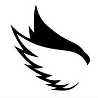 Tara Angel'S Magic, Llc