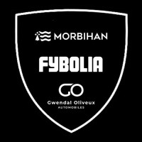 Morbihan Fybolia GOA logo - Similar company to Api Conseil - Recrutement