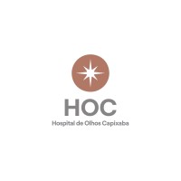 Hospital de Olhos Capixaba logo - Similar company to Bluwebz