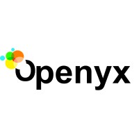 Openyx logo - Similar company to Flysoft Engineering