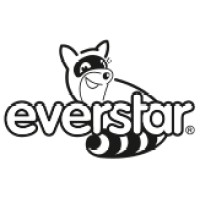 EVERSTAR S. R. O. logo - Similar company to Everstar