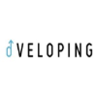 dVELOPING logo - Similar company to Cruise & Tour