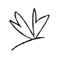 Wednesday's Child logo - Similar company to Bramacare