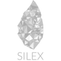 Silex Asset Management logo - Similar company to Silex Real Estate