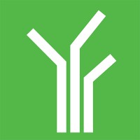 iCognitus4ALL - IT Solutions logo - Similar company to Iberweb Lda