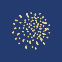 Anthropic Advisory logo - Similar company to Anthropic Identity