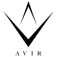 Avir Jets logo - Similar company to Echojet Llc