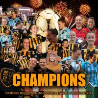 Bournemouth Sports Ladies Football Club logo - Similar company to Firmitude C.I.O
