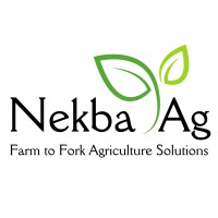 Nekba AG logo - Similar company to Digishivar Ai
