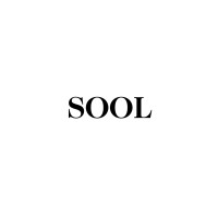 sool logo - Similar company to Abdg - Austrian Business Development Group