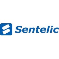 Sentelic Corporation logo - Similar company to Haoshi Foundation