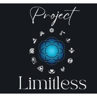 Project Limitless logo - Similar company to Ackplus Solutions