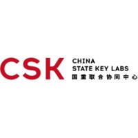 CSK Electronic logo - Similar company to Rankridge