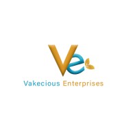 Vakecious Cleaning Services logo - Similar company to Ovidiun Customs
