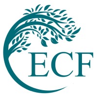 Earth Charitable Foundation logo - Similar company to Pickfords Pharmacy