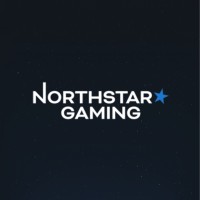 NorthStar Gaming logo - Similar company to Netfusion Services Pvt Ltd
