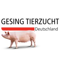 Gesing Tierzucht logo - Similar company to Zentrale Koordination Handel Landwirtschaft E. V. (Zkhl)