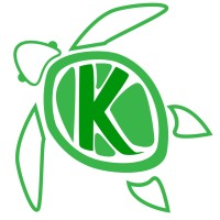Kobus Technologies logo - Similar company to Ruby Shore Software