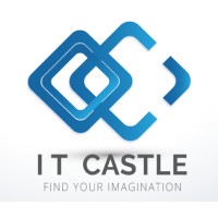 IT Castle Ltd logo - Similar company to Seoviser
