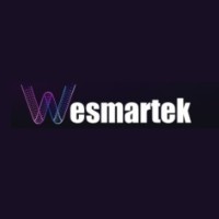 Wesmartek logo - Similar company to Quiresoft Technologies