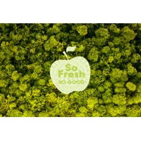 So Fresh logo - Similar company to Fresh Concept Sa