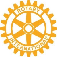 Rotary Club of Environment and Climate Action logo - Similar company to Pan-African Climate Education Network (Pace)