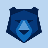 Bruin Racing logo - Similar company to Rocket Project At Ucla