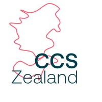 CCS Zealand logo - Similar company to Nk Lundströms Trävaror Ab