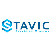 STAVIC LTDA. logo - Similar company to Infycontrol Spa