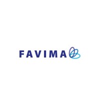 Favima SpA logo - Similar company to Motion