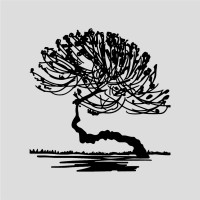 GRUPO SUMAC | Arte | Música | Filmes | Marketing logo - Similar company to Harmor Records
