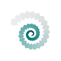 RAZEQ logo - Similar company to Raymon Drones