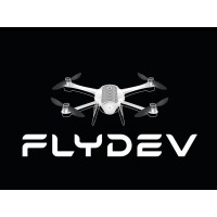 FlyDev logo - Similar company to Synappse Ai