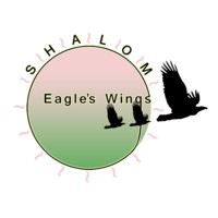 Shalom: Eagle's Wings logo - Similar company to Copperhead Audio Visual Inc.