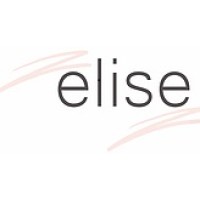 Elise Global Consultancy logo - Similar company to Rawdah Okulları